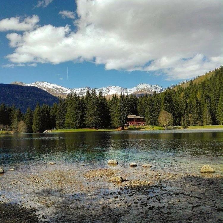 Appartamento Clelia Пеллиццано Экстерьер фото